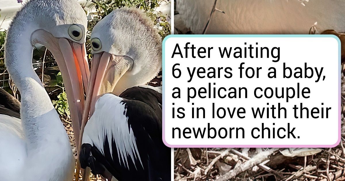 16 Photos That Radiate So Much Love, You’ll Want to Hug Someone Right Away