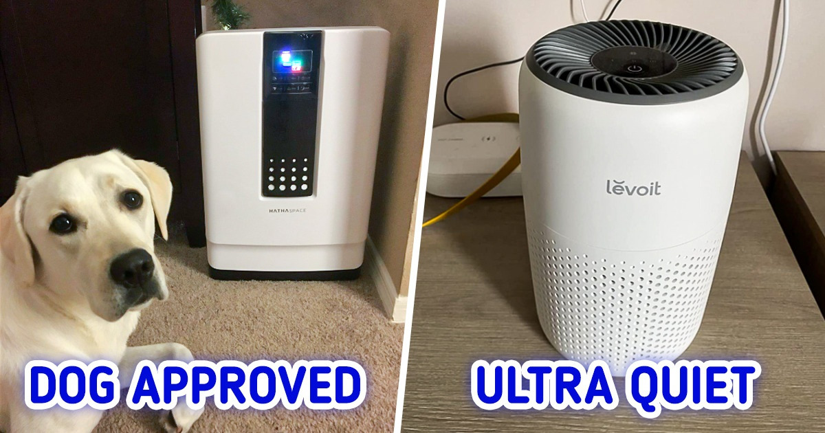 Let’s Compare 6 Air Purifiers And See Which Ones Are Worth Your Money ...