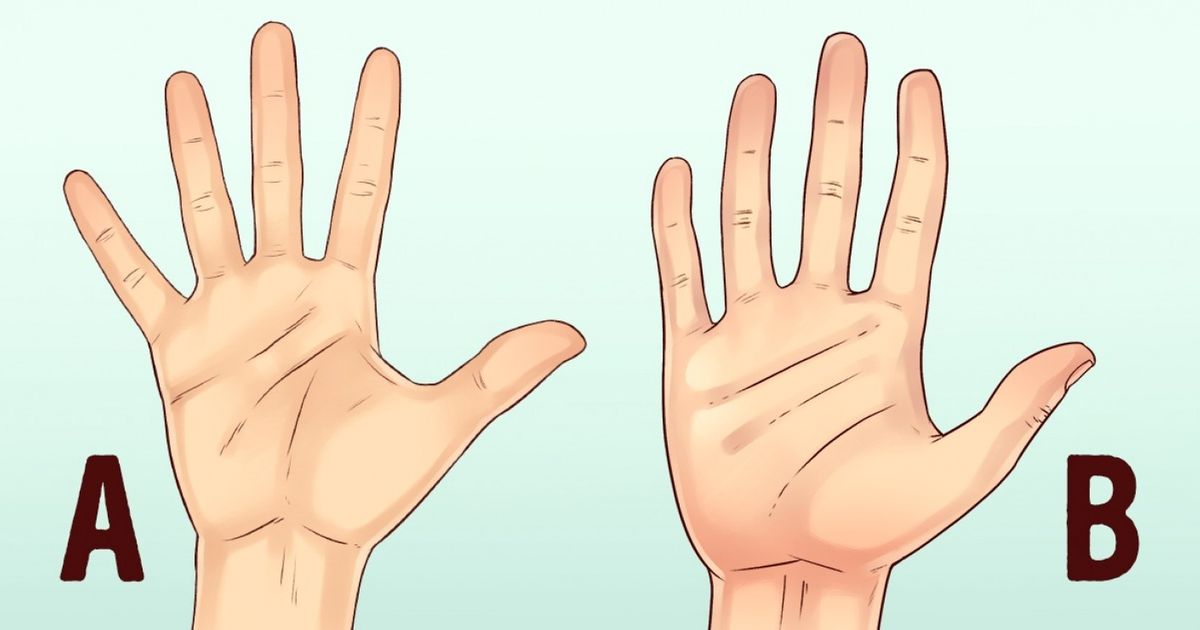 Scientists Reveal How To Tell A Person S Character By The Shape Of Their Hands
