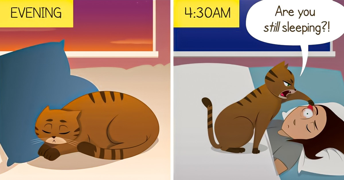An Artist Shows That You Need to Be Ready for Anything If You Have a Pet