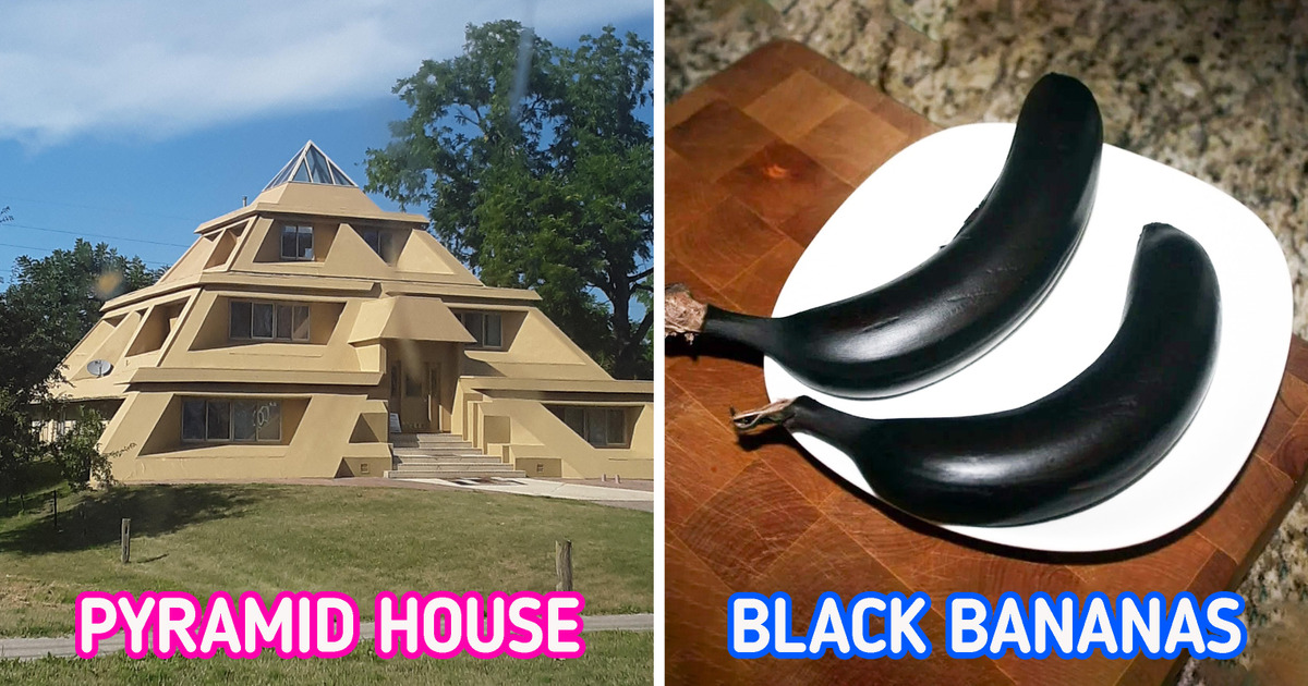 15+ People Whose Days Turned Special After a Fascinating Find