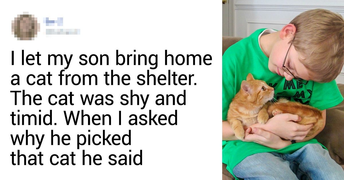 15 People Who Saved One Small Animal and Got a Best Friend for a Lifetime 15 People Who Saved One Small Animal and Got a Best Friend for a Lifetime