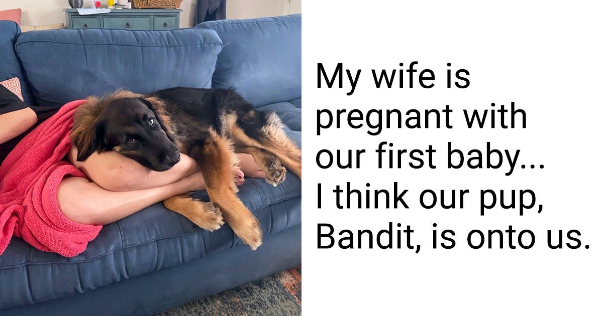 17 Photos That Prove Our Pets’ Love Is More Precious Than All the Gems in the World 17 Photos That Prove Our Pets’ Love Is More Precious Than All the Gems in the World