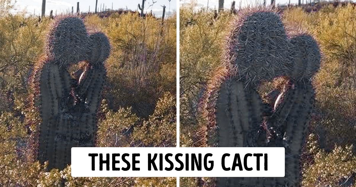 15 Times Life Astonished People With Spooky Surprises