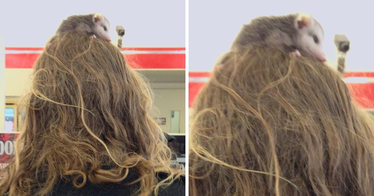 15+ Times People Discovered Something That Made Their Eyes Pop Out