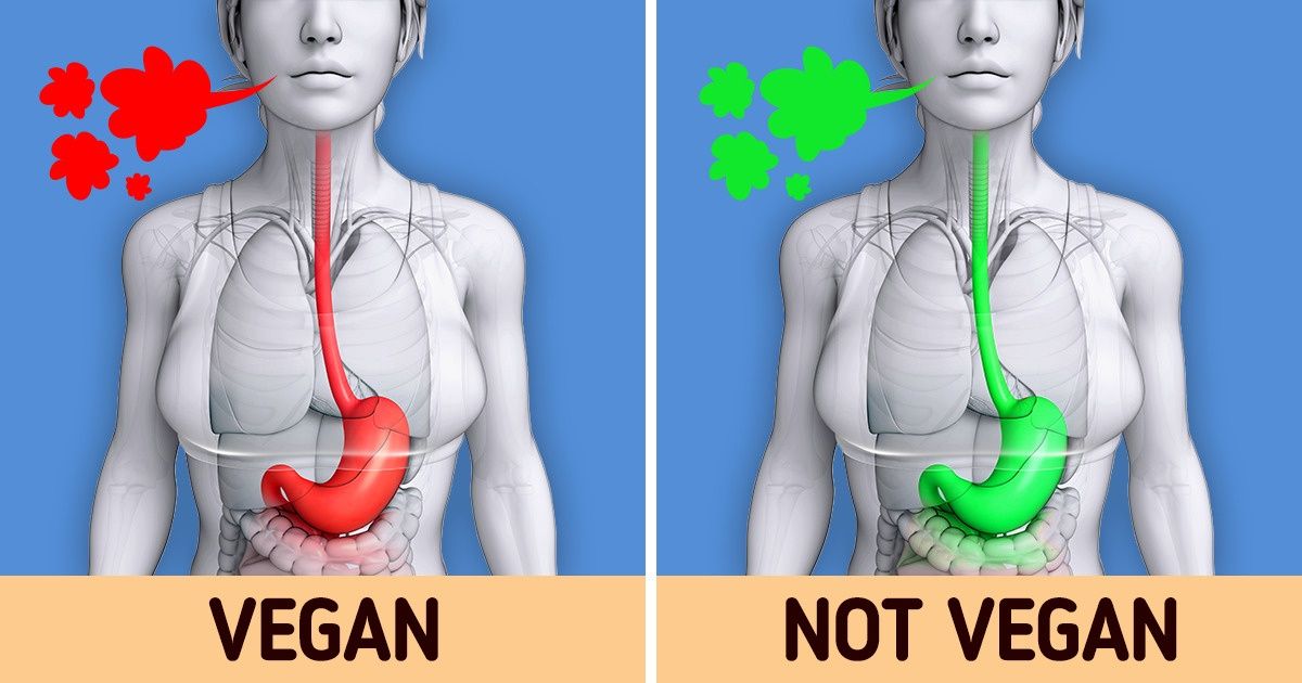 10 Things That Happen in Our Body When We Go Vegan 10 Things That Happen in Our Body When We Go Vegan