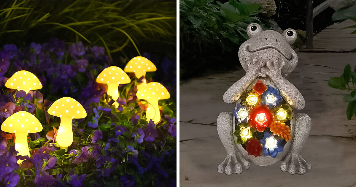 Sprout Your Savings: 10 Discounted Garden Products for a Bloomin’ Good Time
