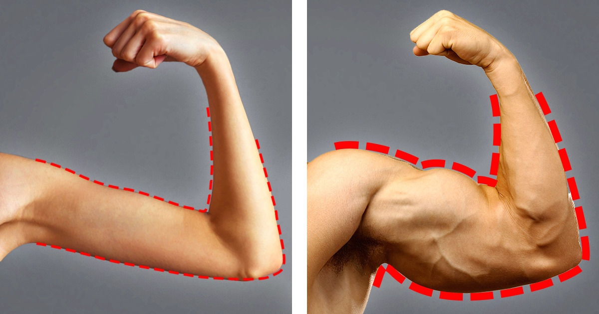 19 Foods to Help You Gain Weight and Muscle Faster 19 Foods to Help You Gain Weight and Muscle Faster