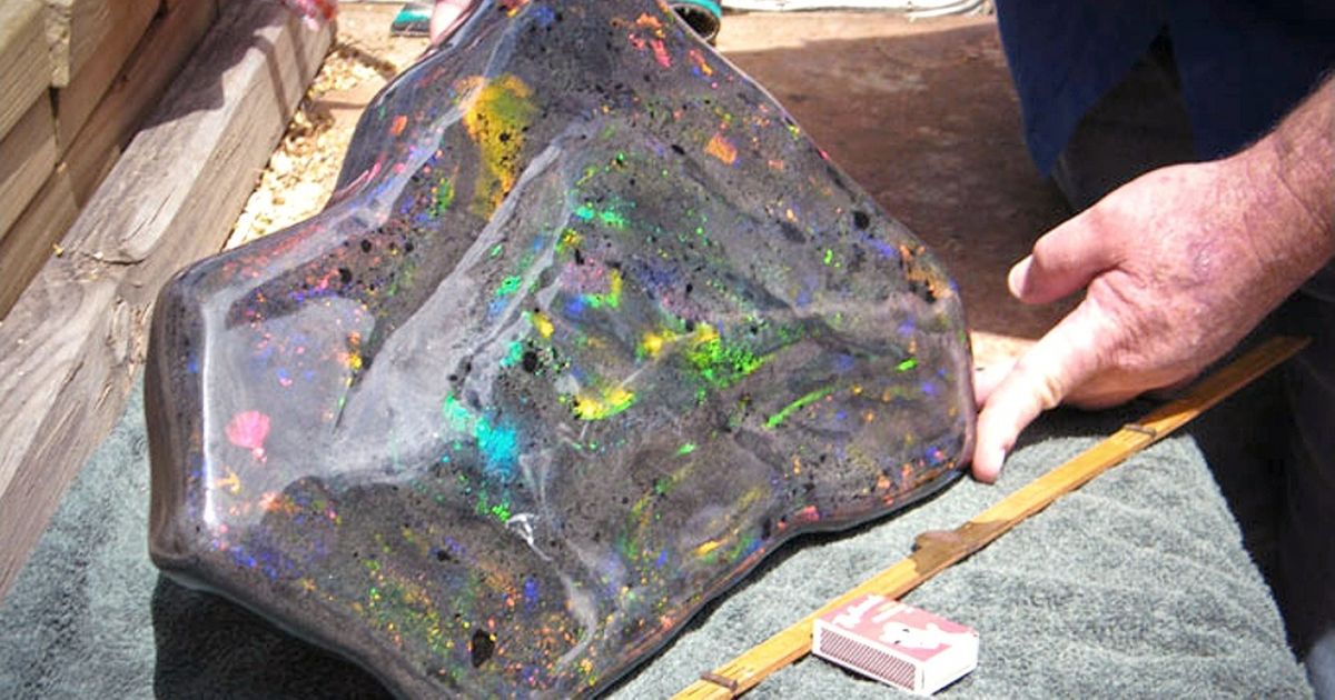 8 Ordinary People Made Discoveries That Brought Them Lots of Money