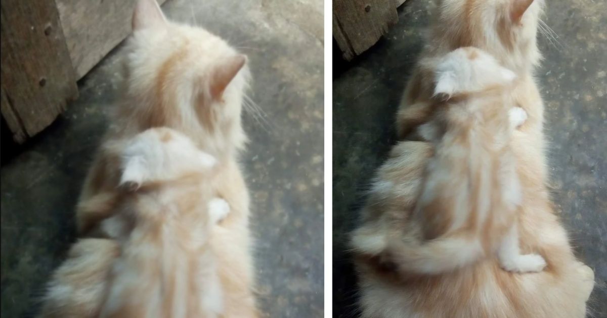 14 Things That Matched With Each Other Perfectly
