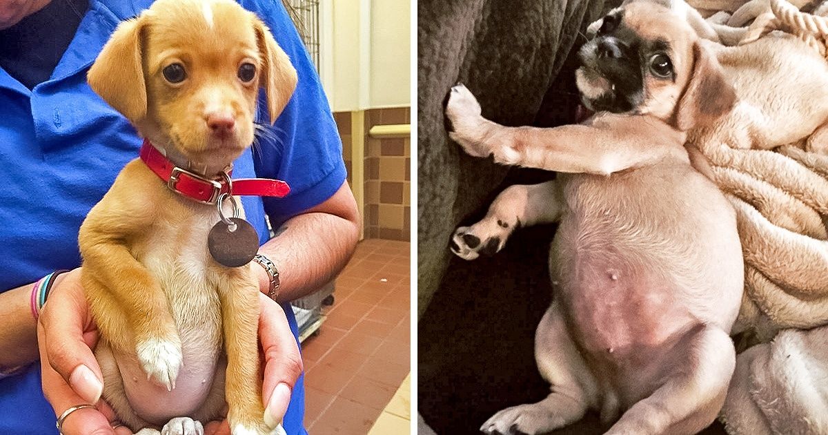 25 Photos of Animals That Can Help You Make It to the End of the Day (Warning: Cuteness Overload) 25 Photos of Animals That Can Help You Make It to the End of the Day (Warning: Cuteness Overload)