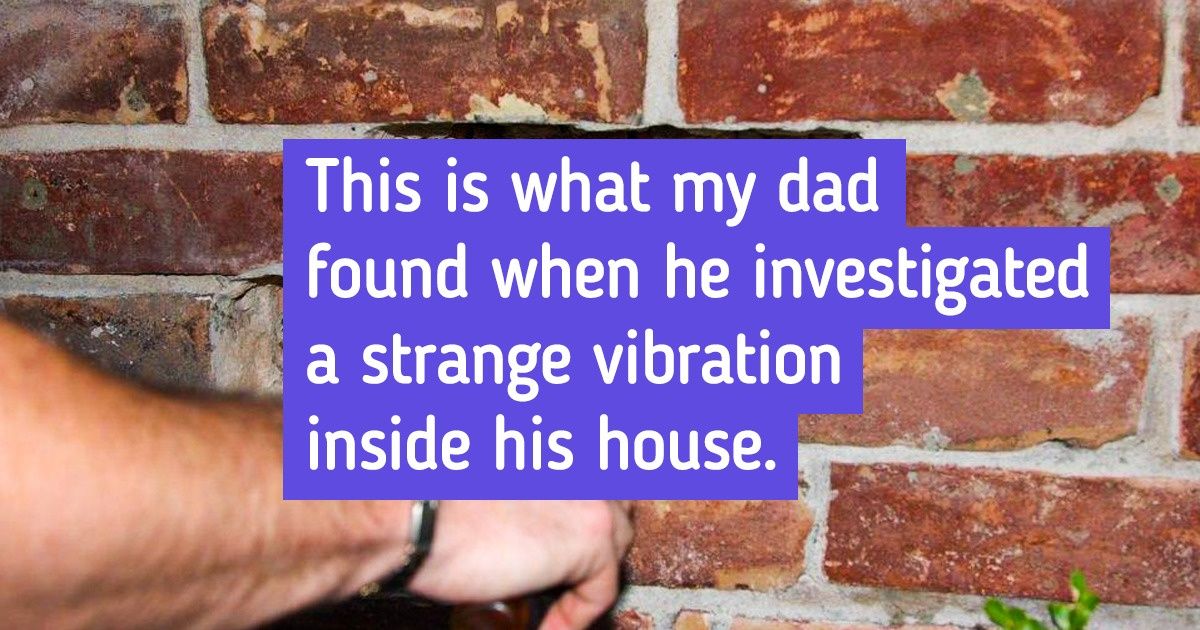 20 Surprising Things Home Owners Found That Even Renovation TV Shows Wouldn’t Expect