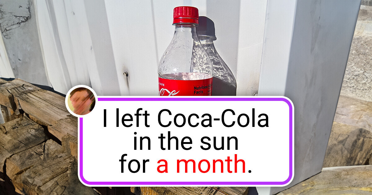15+ People Who Made an Astonishing Discovery