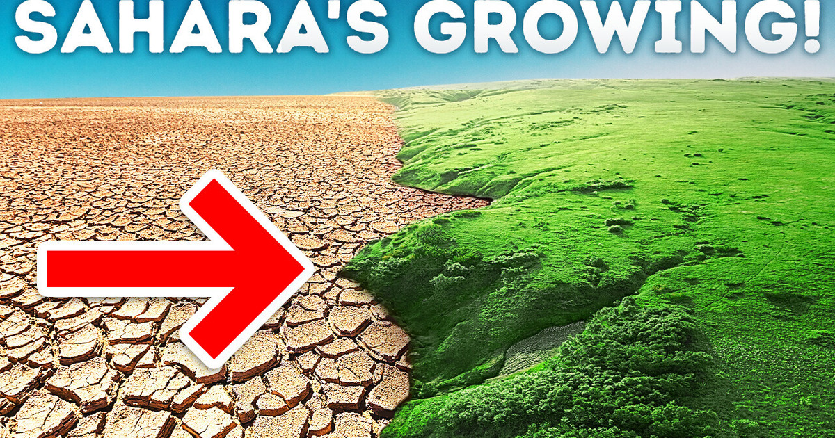 The Sahara Is Growing and Eating Green Lands Slowly