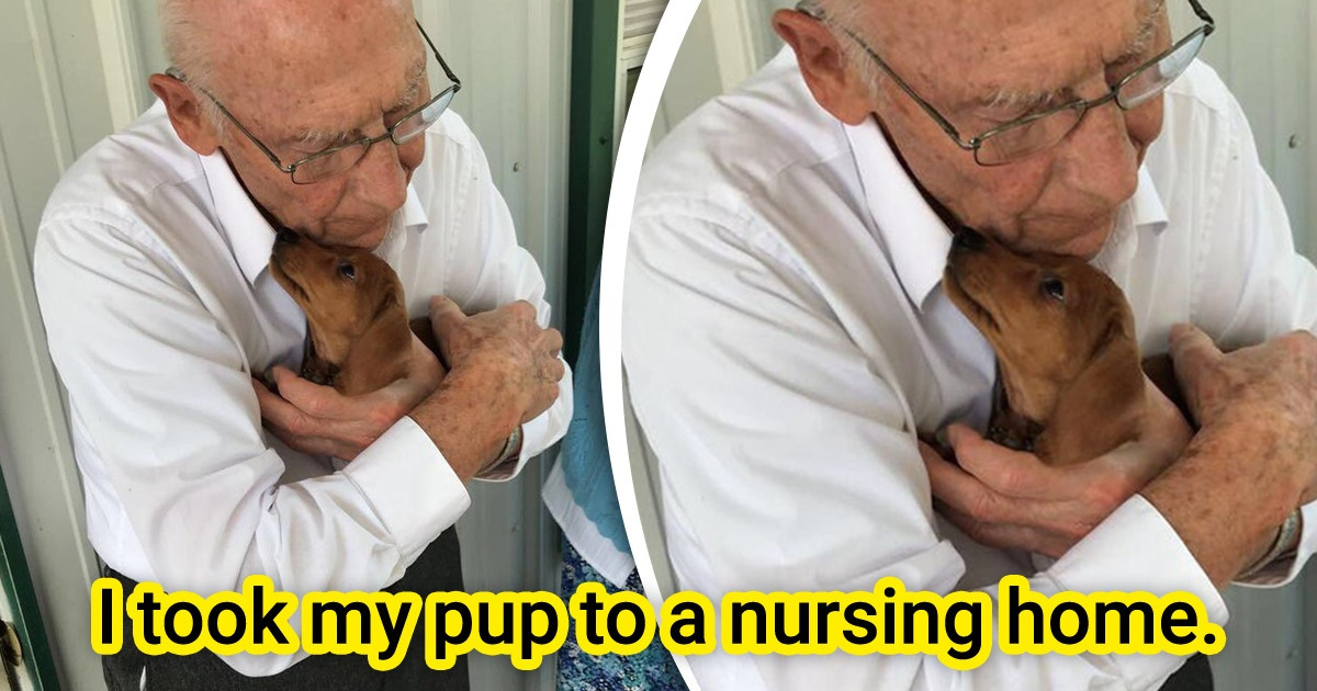 20 Pictures That Radiate a Whole Wave of Warmth