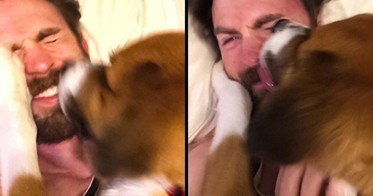 Chris Evans Saved His Dog From a Shelter Like a True Superhero, and They’ve Been Inseparable Ever Since Chris Evans Saved His Dog From a Shelter Like a True Superhero, and They’ve Been Inseparable Ever Since