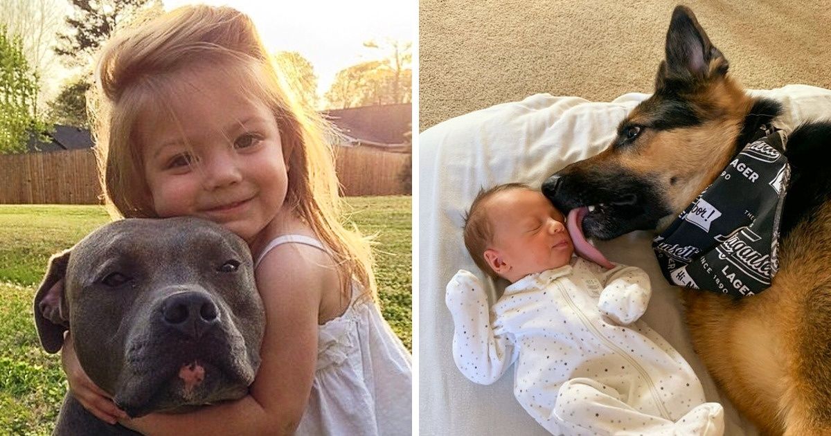 20 Pictures That Prove Animals Are the Best Guardians for Your Kids 20 Pictures That Prove Animals Are the Best Guardians for Your Kids