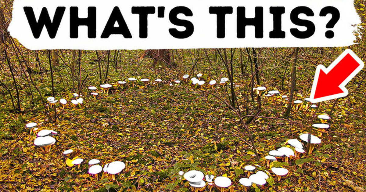 11 Mysterious Natural Phenomena You’ll Only See If You’re Lucky