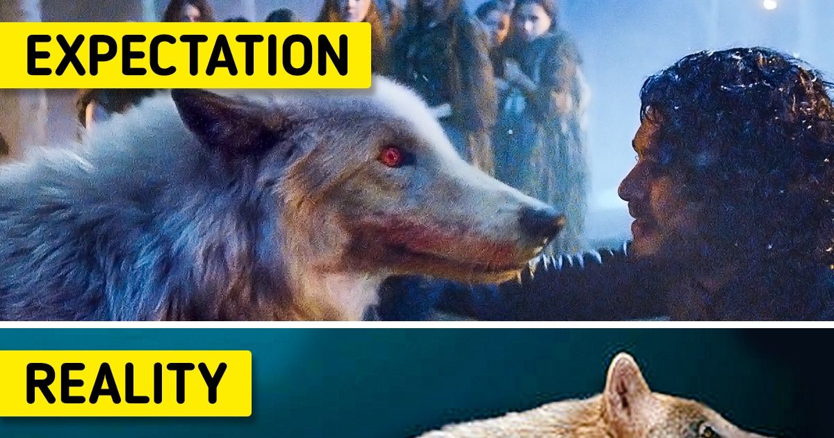7 Fantastic Beasts That Actually Exist 7 Fantastic Beasts That Actually Exist