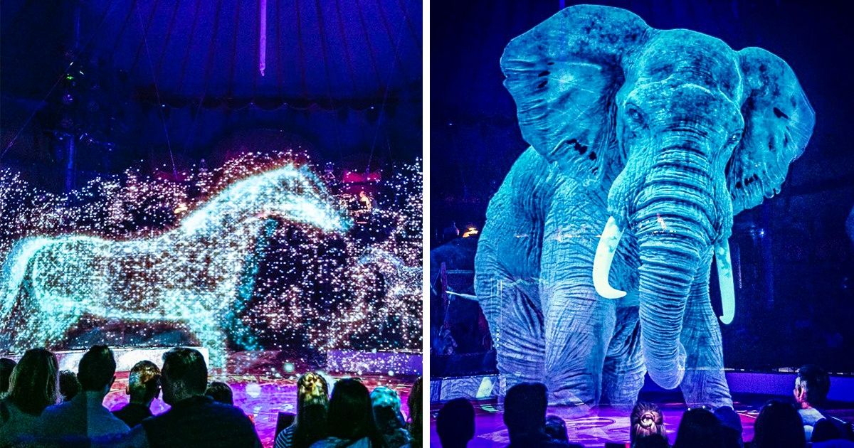 A German Circus Uses Holograms Instead of Live Animals in Their Shows, and It’s a Giant Step Toward Ending Animal Abuse A German Circus Uses Holograms Instead of Live Animals in Their Shows, and It’s a Giant Step Toward Ending Animal Abuse
