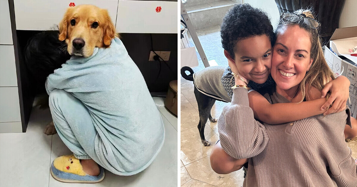 15 Brain-Confusing Photos That Need to Be Analyzed