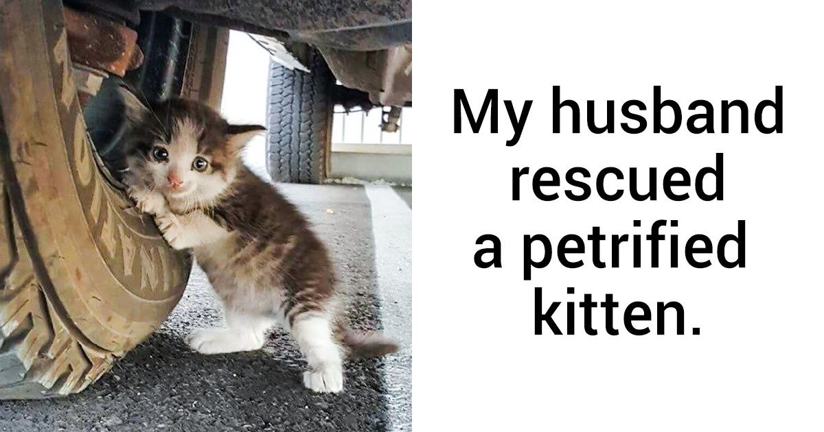 16 Kind-Hearted People Who Brightened This World