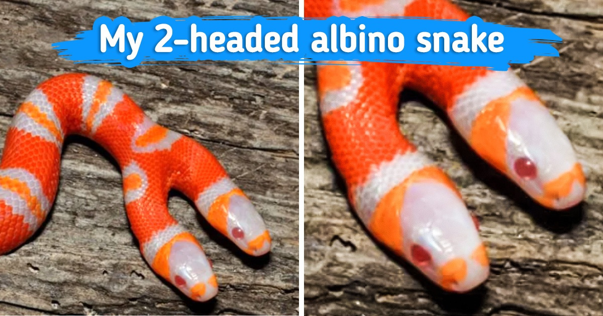17 Ordinary Things That Are Suddenly Not-So-Ordinary Anymore