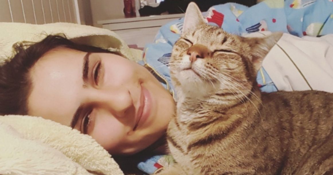 Cats Can Get Attached To Their Humans Even More Than Dogs And It S Science That Proves It Bright Side