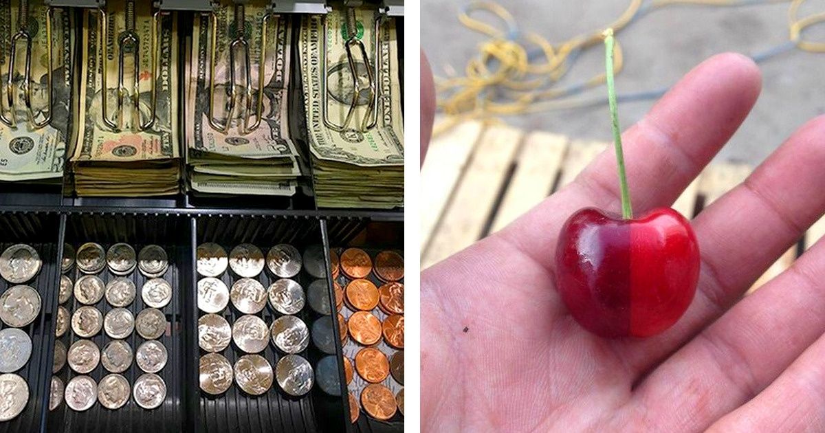 27 Sights That Are More Satisfying Than Stepping on Leaves in Autumn