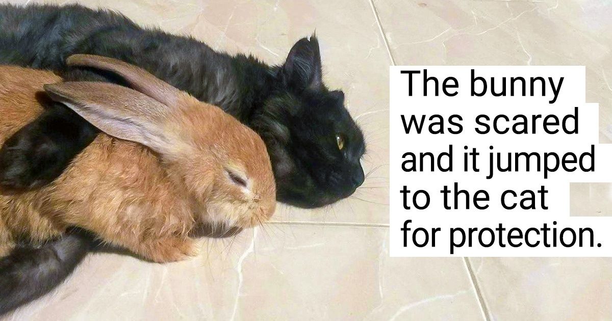 20 Photos That Prove It’s Not Blood That Makes You Family but Unconditional Love