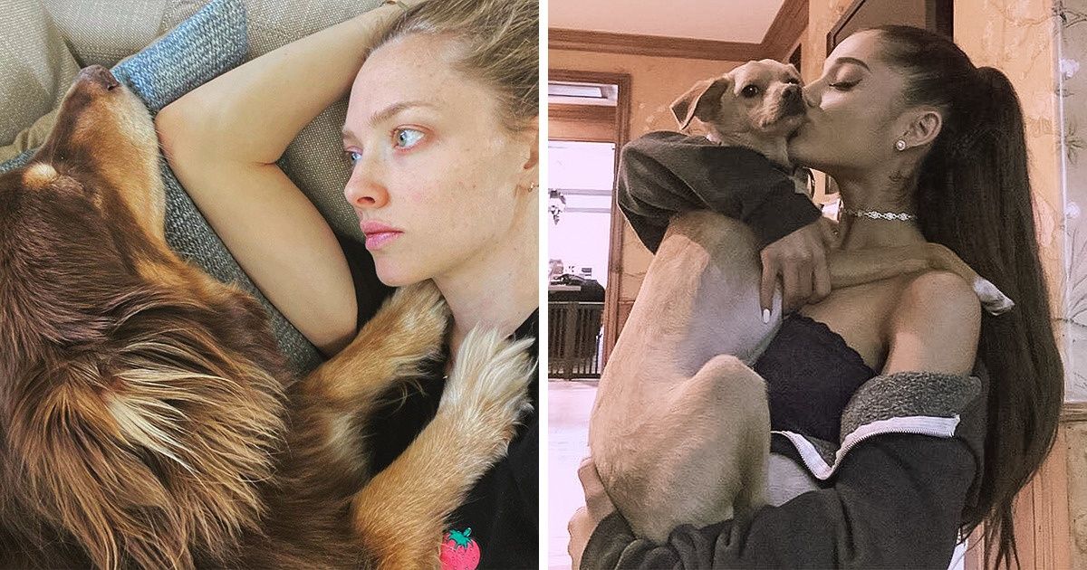 10+ Celebrities Who Rescued Animals Through Thick and Thin 10+ Celebrities Who Rescued Animals Through Thick and Thin