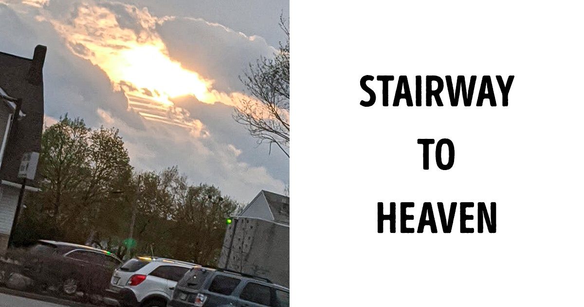 20 Times Nature Made Us Believe in Magic 20 Times Nature Made Us Believe in Magic