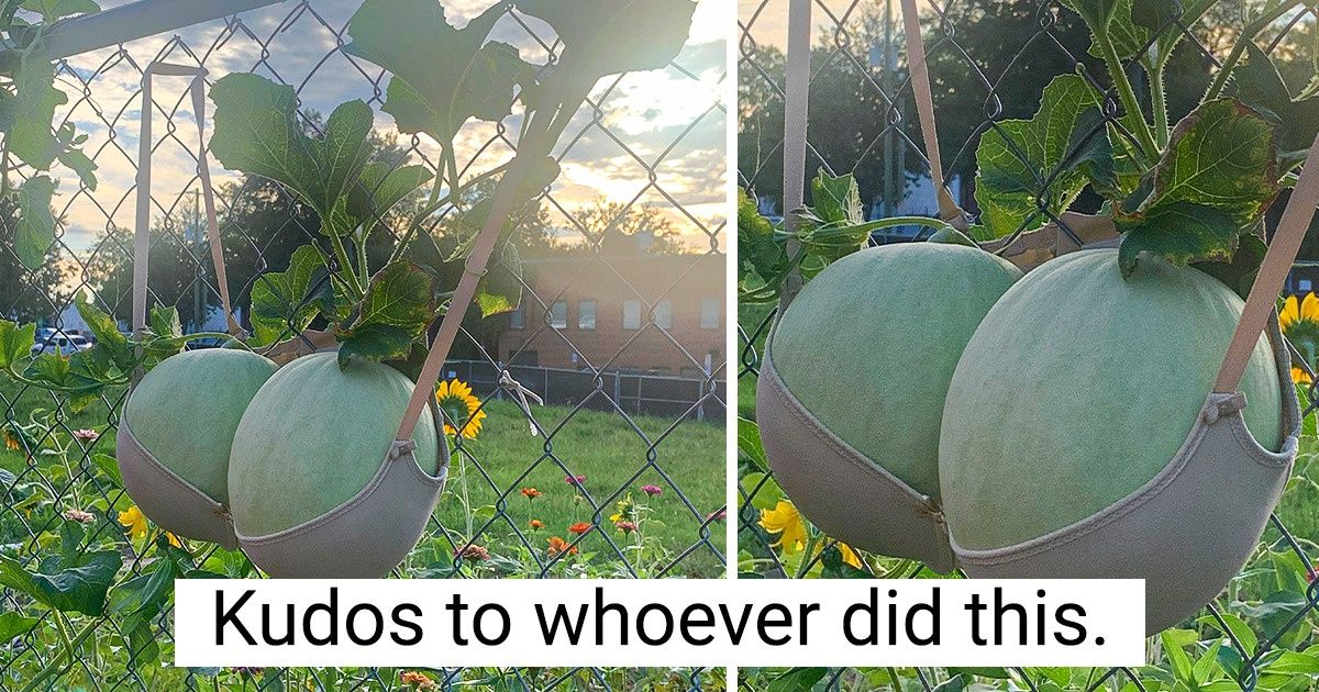 17 People Who Didn’t Let a Problem Stand in Their Way
