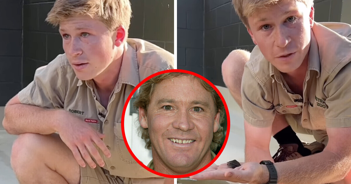 Robert Irwin Completes His Dad Steve’s Wildlife Mission and Gives Emotional Tribute Robert Irwin Completes His Dad Steve’s Wildlife Mission and Gives Emotional Tribute
