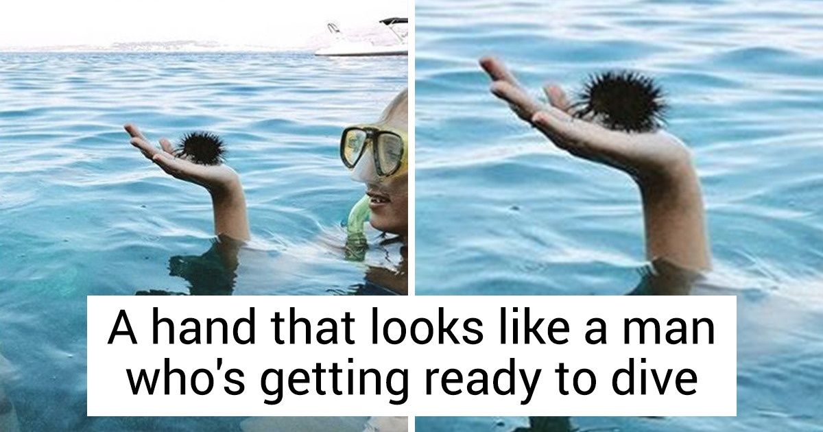 18 Photos That Get Better the Longer You Stare at Them