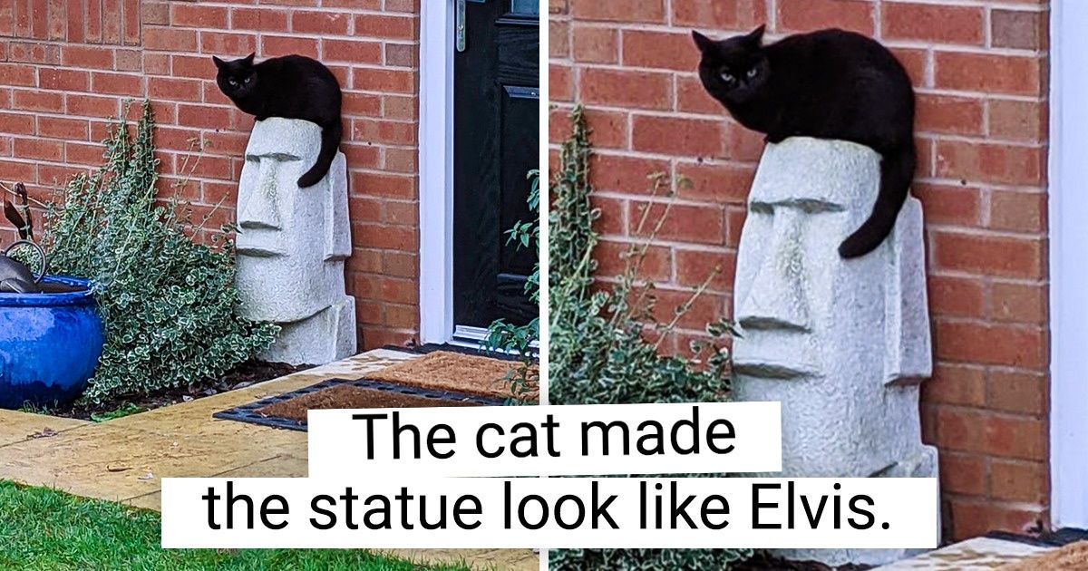 15 Times People Spotted the Most Unusual Things 15 Times People Spotted the Most Unusual Things