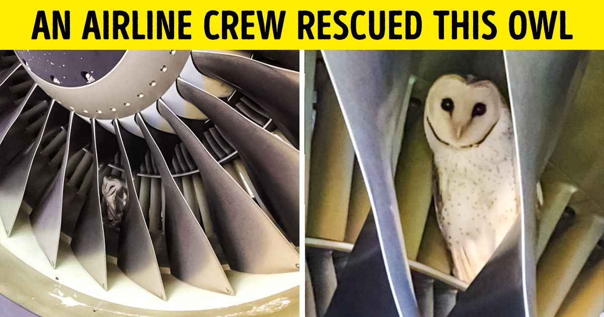 20+ People Show How Easy It Is to Make the World a Better Place
