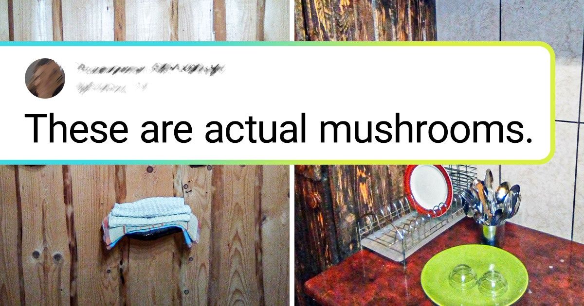 18 People Showed Simple Things That Make Their Interiors a Thousand Time Better