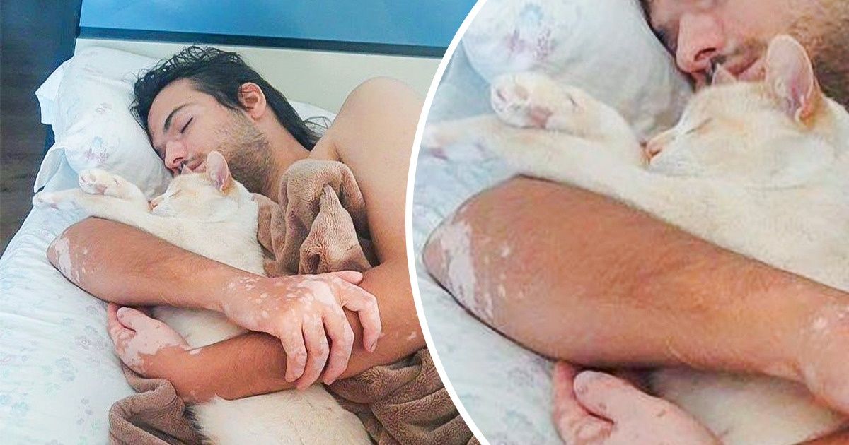 25 Cute Pets That Just Can’t Live Without Their Humans