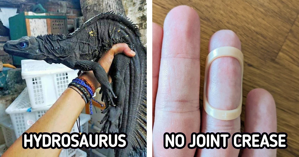 18 People Who Couldn’t Help but Share Their Discoveries