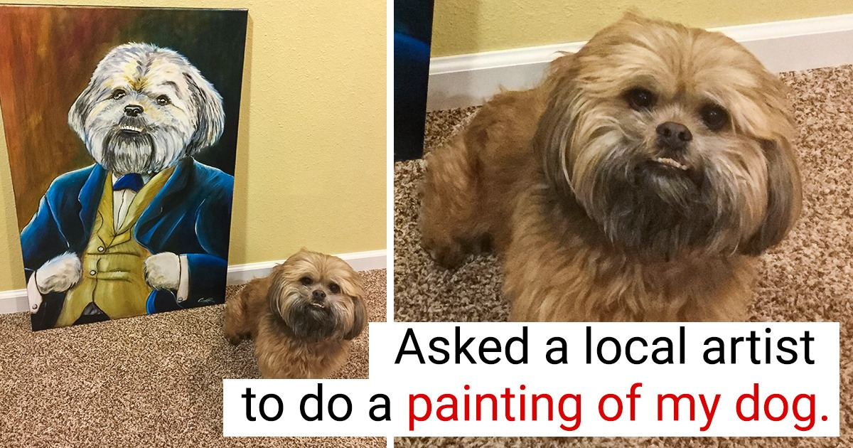 19 Pets Who Are Living Like Kings and Queens