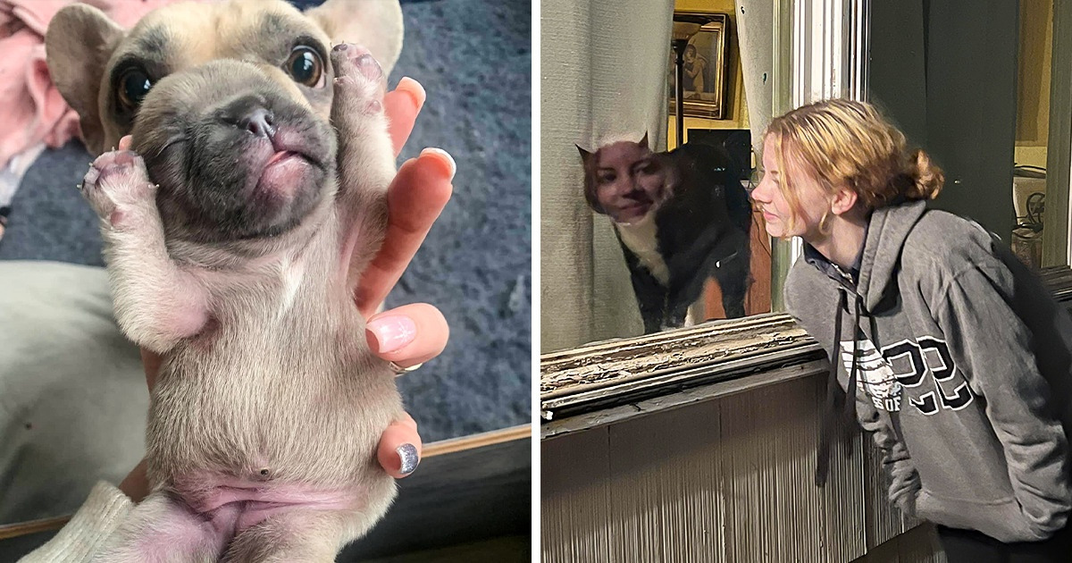 20 Times People Were Lucky Enough to Take a Picture at Just the Right Moment 20 Times People Were Lucky Enough to Take a Picture at Just the Right Moment