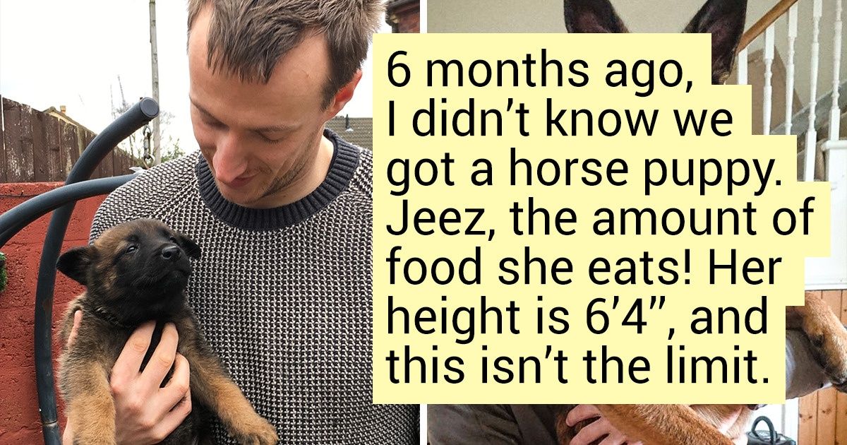 20+ People Who Realized That Their Pets Would Grow Up, but Life Still Managed to Surprise Them 20+ People Who Realized That Their Pets Would Grow Up, but Life Still Managed to Surprise Them