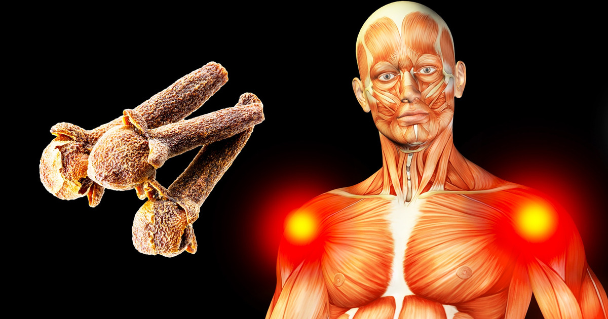 What Happens to Your Body If You Start Eating 2 Cloves a Day