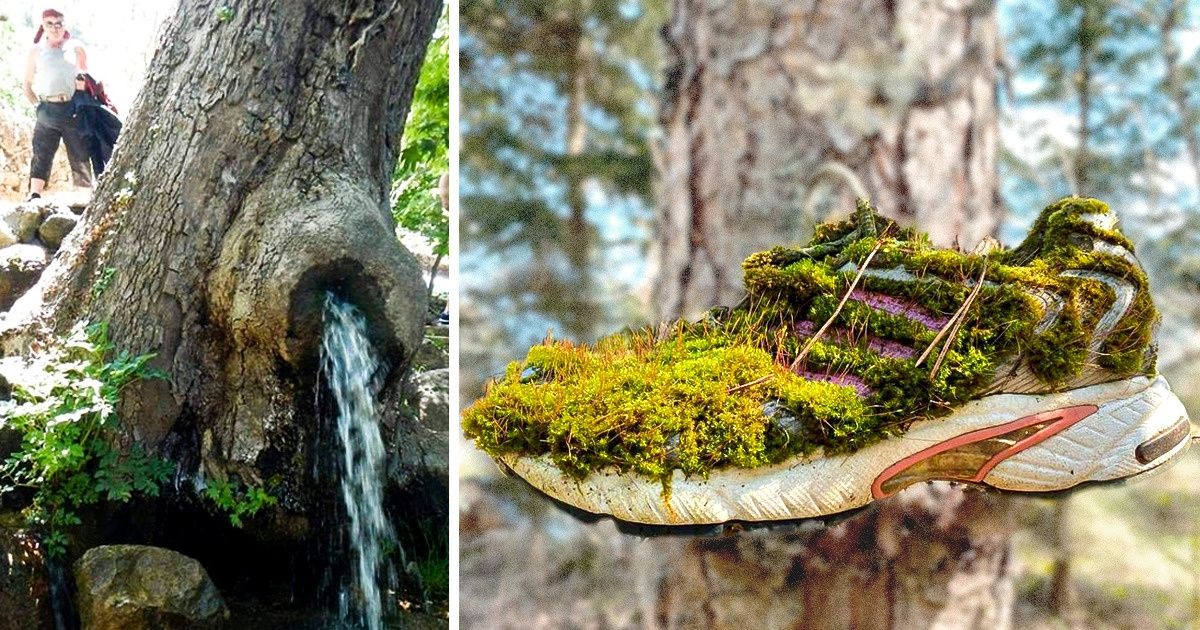 15 Times Nature Decided to Play by Its Own Rules