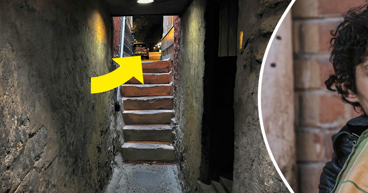 A Homeowner Was Surprised by an Unexpected Discovery in Her Basement That Raised Alarming Questions