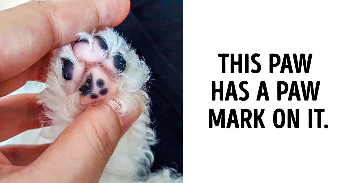 14 Times Mother Nature Was So Out of Her Mind, It Made Us Gasp 14 Times Mother Nature Was So Out of Her Mind, It Made Us Gasp