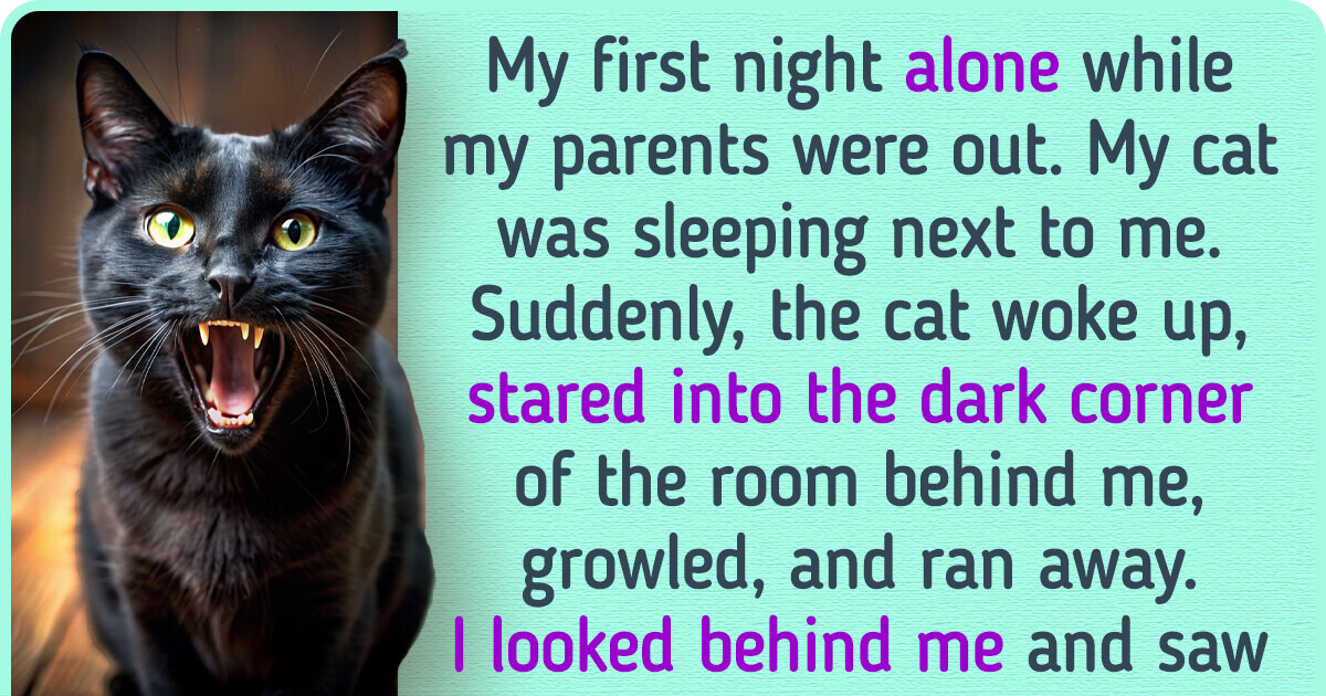 14 Stories From People Who Learned What Real Horror Is