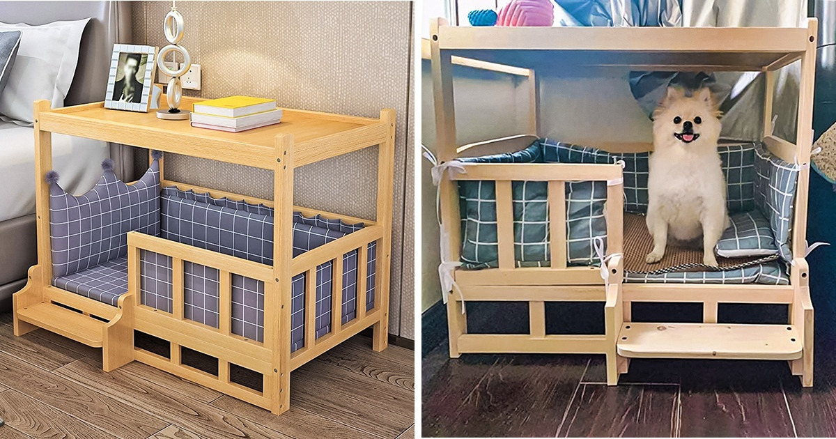 You Can Now Buy a Full Bed for Your Pet, So It Has Its Own Home