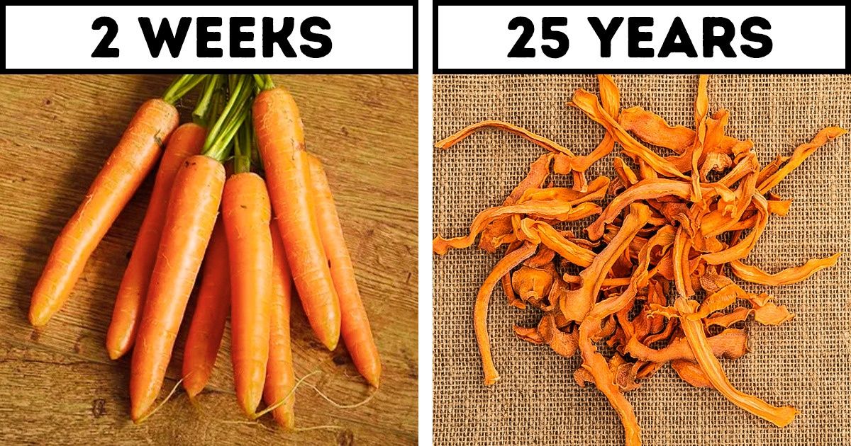 10+ Foods That Can Last for Years If You Store Them the Right Way 10+ Foods That Can Last for Years If You Store Them the Right Way
